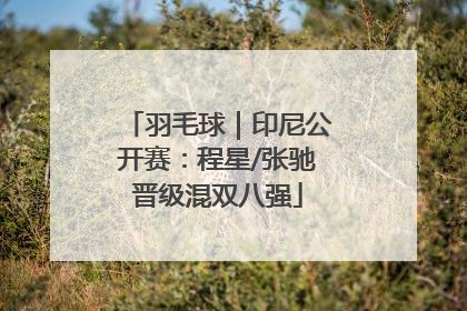 羽毛球｜印尼公开赛：程星/张驰晋级混双八强