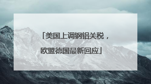 美国上调钢铝关税，欧盟德国最新回应