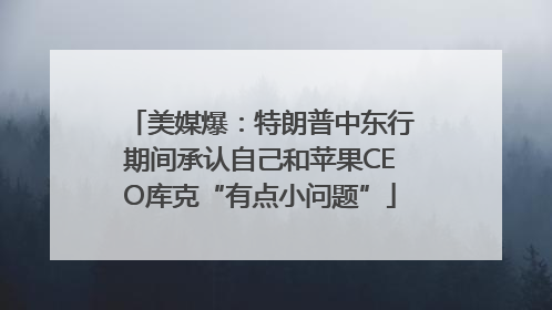 美媒爆：特朗普中东行期间承认自己和苹果CEO库克“有点小问题”