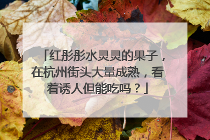 红彤彤水灵灵的果子，在杭州街头大量成熟，看着诱人但能吃吗？