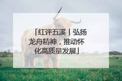红评五溪丨弘扬龙舟精神，推动怀化高质量发展