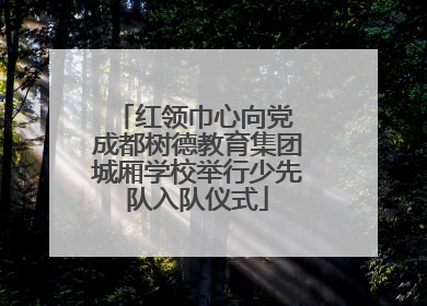 红领巾心向党 成都树德教育集团城厢学校举行少先队入队仪式