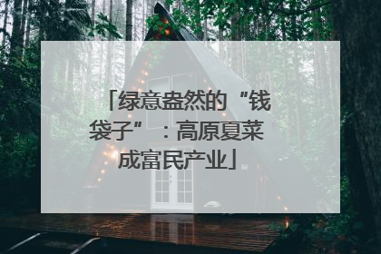 绿意盎然的“钱袋子”：高原夏菜成富民产业