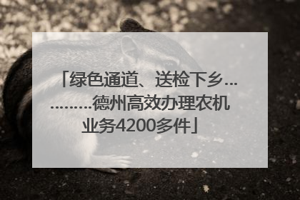 绿色通道、送检下乡…………德州高效办理农机业务4200多件