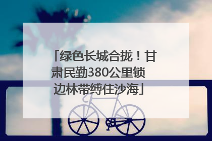 绿色长城合拢！甘肃民勤380公里锁边林带缚住沙海
