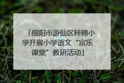 绵阳市游仙区梓棉小学开展小学语文“富乐课堂”教研活动