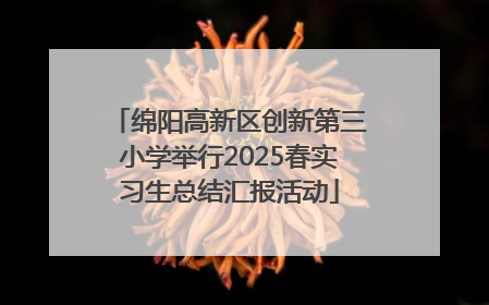 绵阳高新区创新第三小学举行2025春实习生总结汇报活动