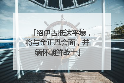 绍伊古抵达平壤，将与金正恩会面，并缅怀朝鲜战士