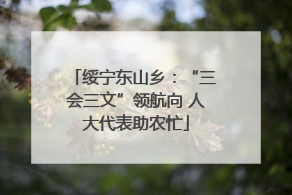 绥宁东山乡：“三会三文”领航向 人大代表助农忙