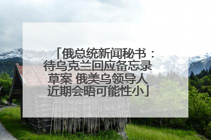 俄总统新闻秘书：待乌克兰回应备忘录草案 俄美乌领导人近期会晤可能性小