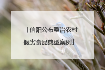 信阳公布整治农村假劣食品典型案例