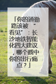 你的通勤路该被 “看见”：长沙地铁智能化四大建议，哪个戳中你的出行痛点？