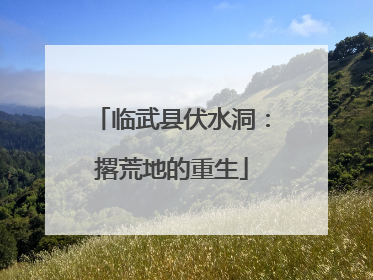 临武县伏水洞：撂荒地的重生