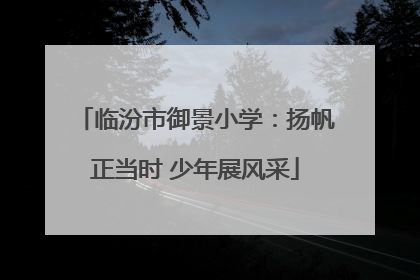 临汾市御景小学：扬帆正当时 少年展风采