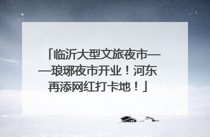 临沂大型文旅夜市——琅琊夜市开业！河东再添网红打卡地！