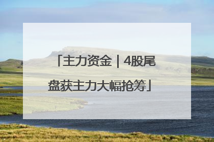 主力资金｜4股尾盘获主力大幅抢筹