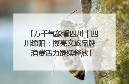 万千气象看四川｜四川绵阳：擦亮文旅品牌 消费活力继续释放