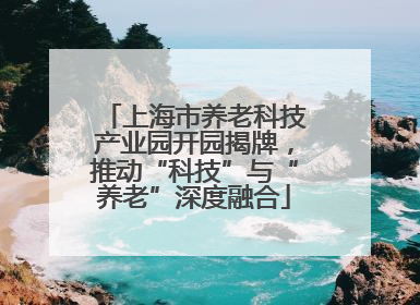 上海市养老科技产业园开园揭牌，推动“科技”与“养老”深度融合