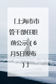 上海市市管干部任职前公示（6月5日发布）