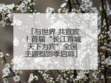 与世界 共宜宾！首届“长江首城 天下为宾”全国主题摄影季启幕