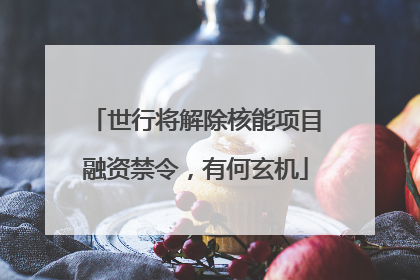 世行将解除核能项目融资禁令，有何玄机