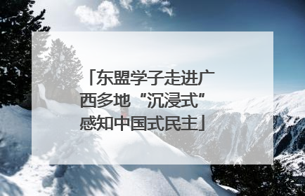 东盟学子走进广西多地“沉浸式”感知中国式民主