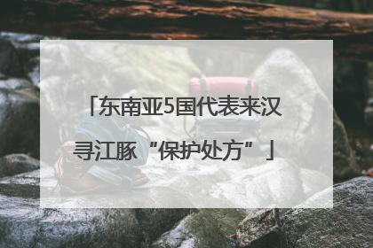 东南亚5国代表来汉寻江豚“保护处方”