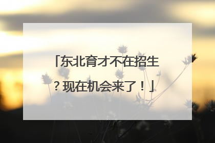 东北育才不在招生？现在机会来了！