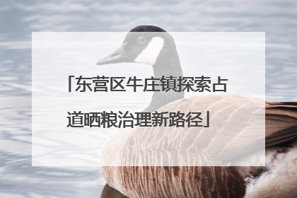 东营区牛庄镇探索占道晒粮治理新路径