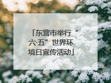 东营市举行“六·五”世界环境日宣传活动