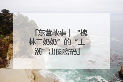 东营故事｜“槐林二奶奶”的“土潮”出圈密码