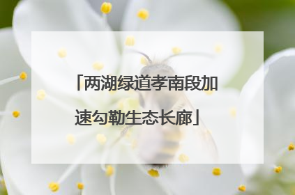 两湖绿道孝南段加速勾勒生态长廊