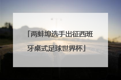 两蚌埠选手出征西班牙桌式足球世界杯