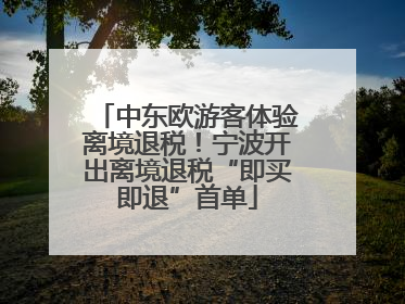 中东欧游客体验离境退税！宁波开出离境退税“即买即退”首单