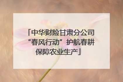 中华财险甘肃分公司“春风行动”护航春耕 保障农业生产