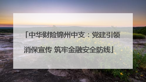 中华财险锦州中支：党建引领消保宣传 筑牢金融安全防线