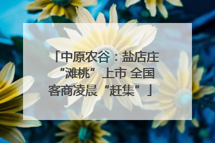 中原农谷：盐店庄“滩桃”上市 全国客商凌晨“赶集”