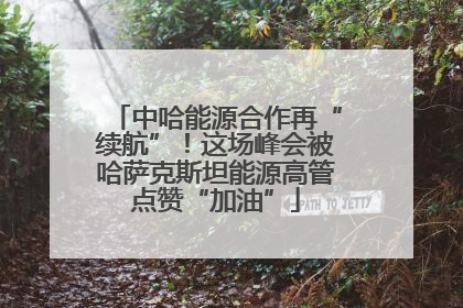 中哈能源合作再“续航”！这场峰会被哈萨克斯坦能源高管点赞“加油”