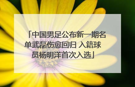 中国男足公布新一期名单武磊伤愈回归 入籍球员杨明洋首次入选