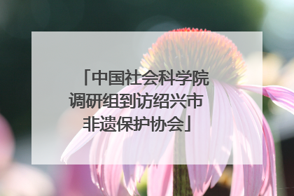 中国社会科学院调研组到访绍兴市非遗保护协会