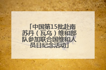 中国第15批赴南苏丹（瓦乌）维和部队参加联合国维和人员日纪念活动