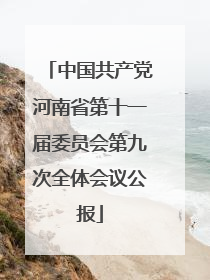 中国共产党河南省第十一届委员会第九次全体会议公报