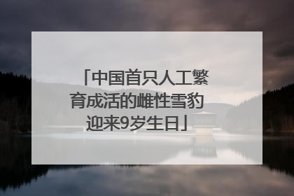 中国首只人工繁育成活的雌性雪豹迎来9岁生日