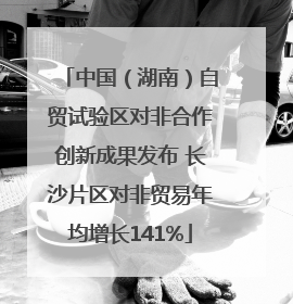 中国（湖南）自贸试验区对非合作创新成果发布 长沙片区对非贸易年均增长141%