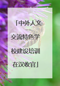 中外人文交流特色学校建设培训在汉收官