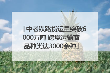 中老铁路货运量突破6000万吨 跨境运输商品种类达3000余种
