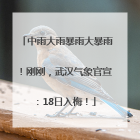 中雨大雨暴雨大暴雨！刚刚，武汉气象官宣：18日入梅！