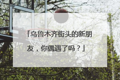 乌鲁木齐街头的新朋友，你偶遇了吗？