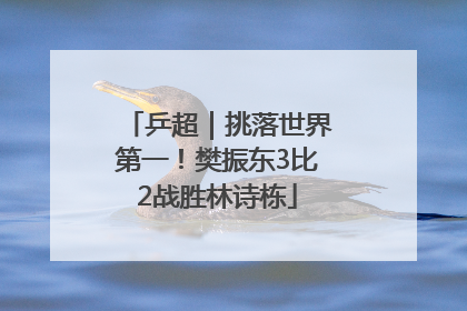 乒超｜挑落世界第一！樊振东3比2战胜林诗栋