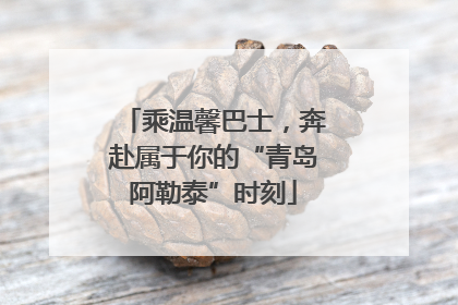 乘温馨巴士，奔赴属于你的“青岛阿勒泰”时刻